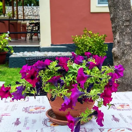 Bozikis Paleokastritsa